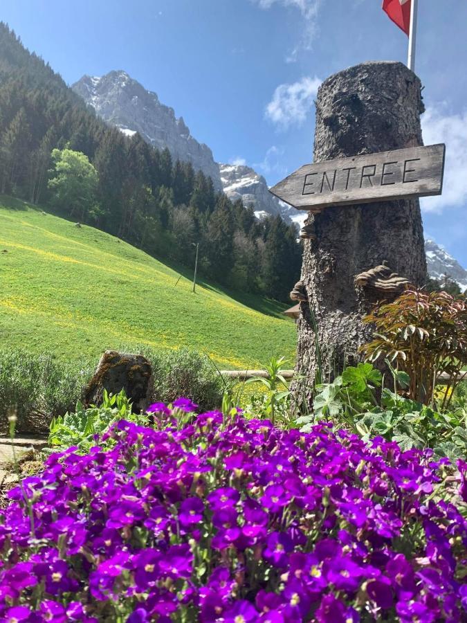 Guest House Du Grand Paradis - On Piste Champéry Екстериор снимка
