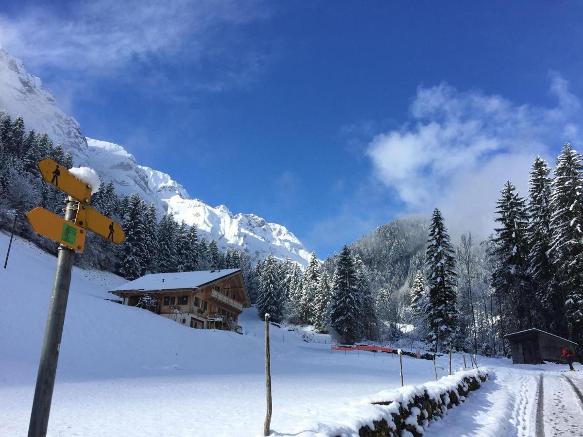 Guest House Du Grand Paradis - On Piste Champéry Екстериор снимка