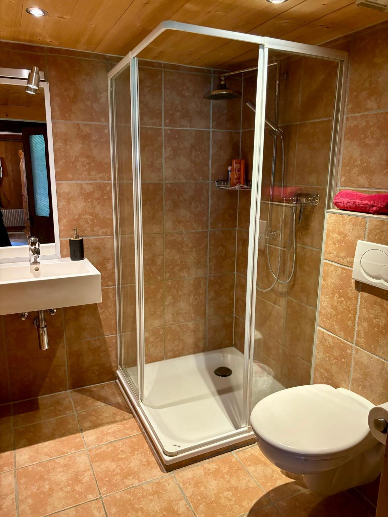 Guest House Du Grand Paradis - On Piste Champéry Екстериор снимка
